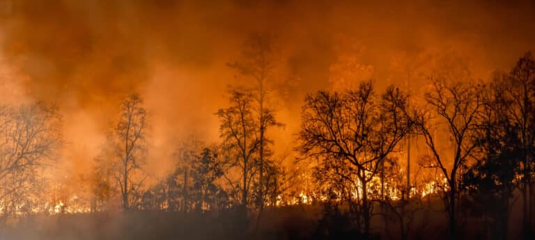 Incendie habitation